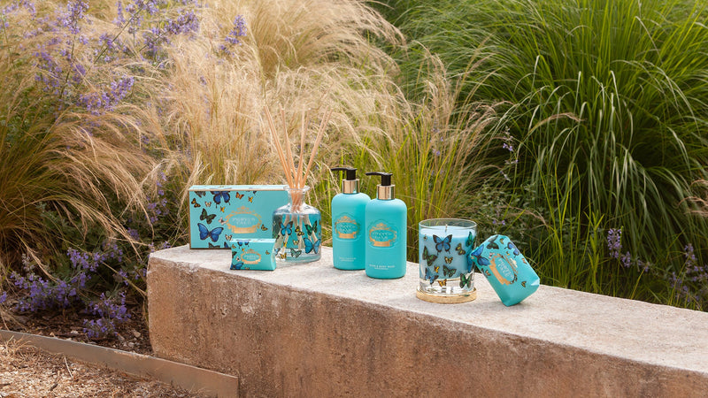 Butterflies - PORTU CALE