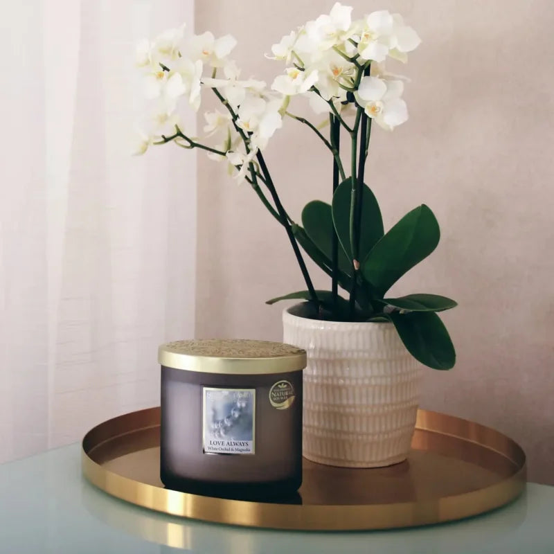 Love Always – Vela de 2 Pontas