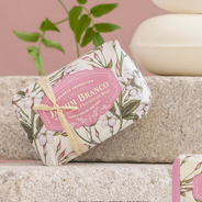 Coleção da Catelbel