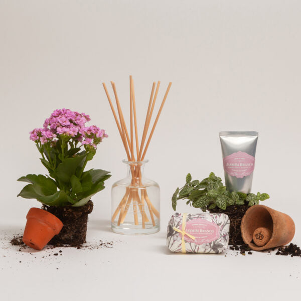 Conjunto Presente Jasmim Branco